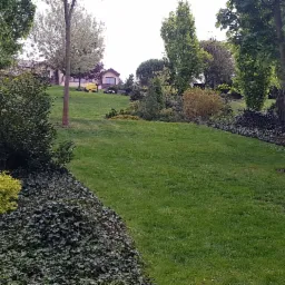 Rozległy, zielony trawnik na wzgórzu z różnorodną roślinnością, w tle dom z żółtą kosiarką i altana ogrodowa.