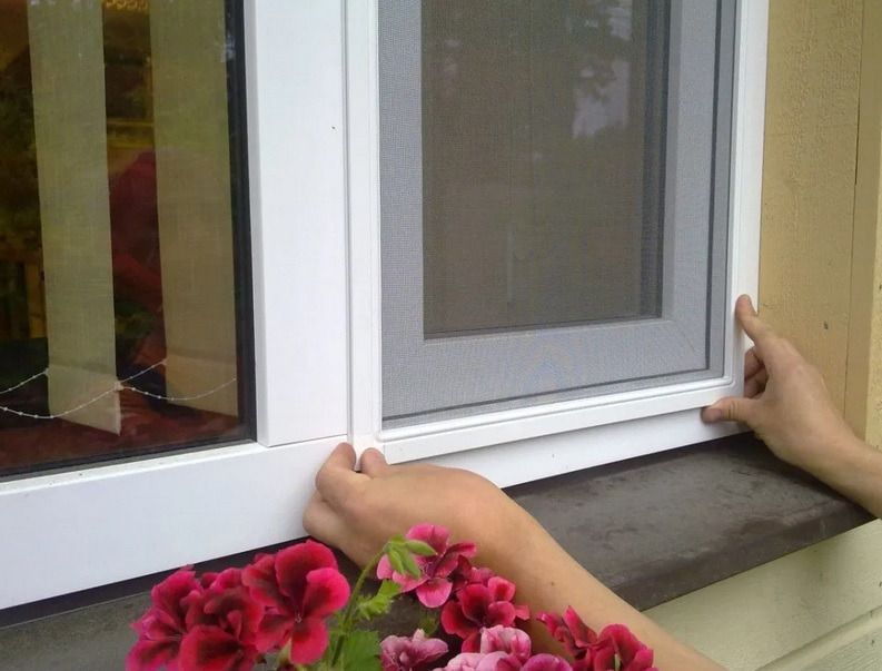 Montaż ramkowej siatki okiennej na białym oknie PCV, widoczne dłonie montera i doniczka z czerwonymi kwiatami na parapecie.