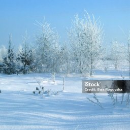 PRZEDSIĘBIORSTWO AUTOBUSOWE KONCESJONOWANE GNIEZNO - STANISŁAW&Oacute;W - Ocieplenie Poddasza Nieużytkowego Reda
