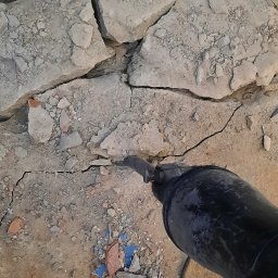 Wyburzenia Białystok 1