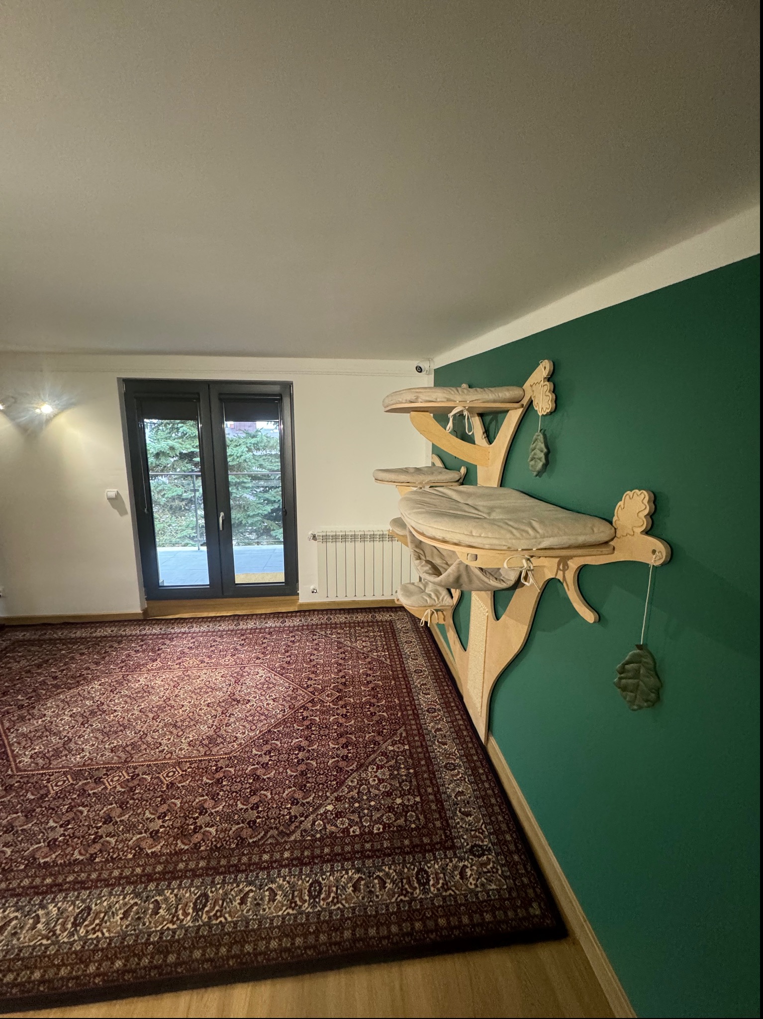 Pokój z dekoracyjną ścianą pomalowaną na zielono, na której zamontowany jest drewniany drapak dla kota z pluszowymi poduszkami, obok dywan z orientalnym wzorem.