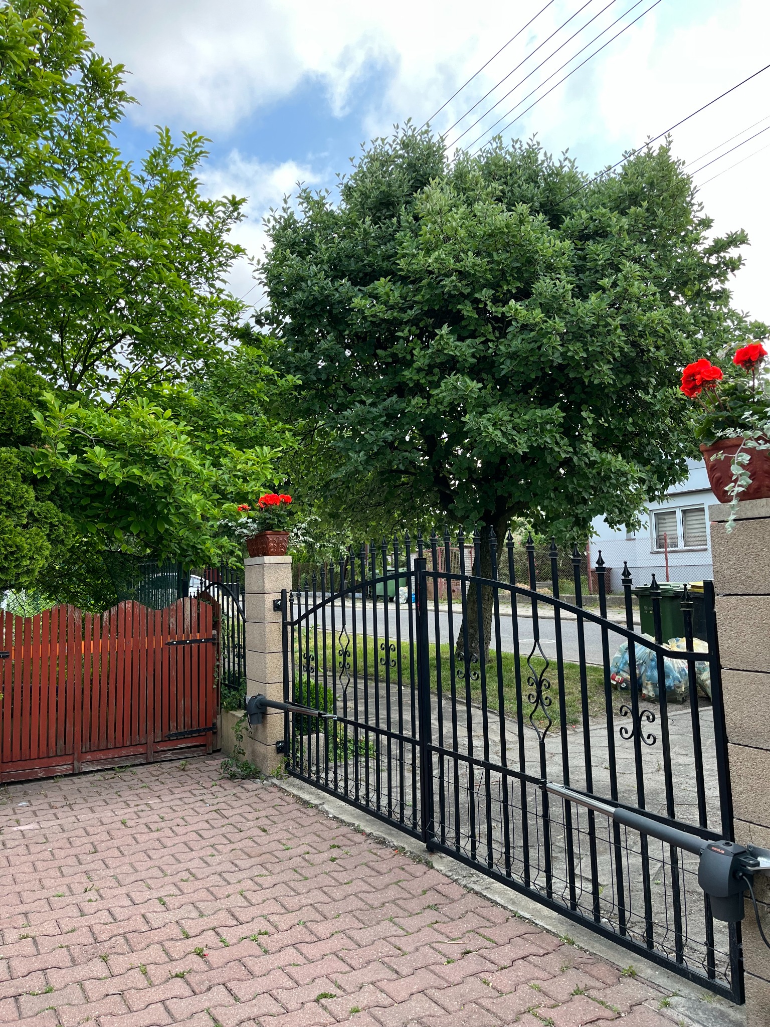 Automatyczna brama wjazdowa z czarnego metalu, z widocznym siłownikiem, na tle zieleni i kostki brukowej. Na słupkach bramy donice z czerwonymi kwiatami.