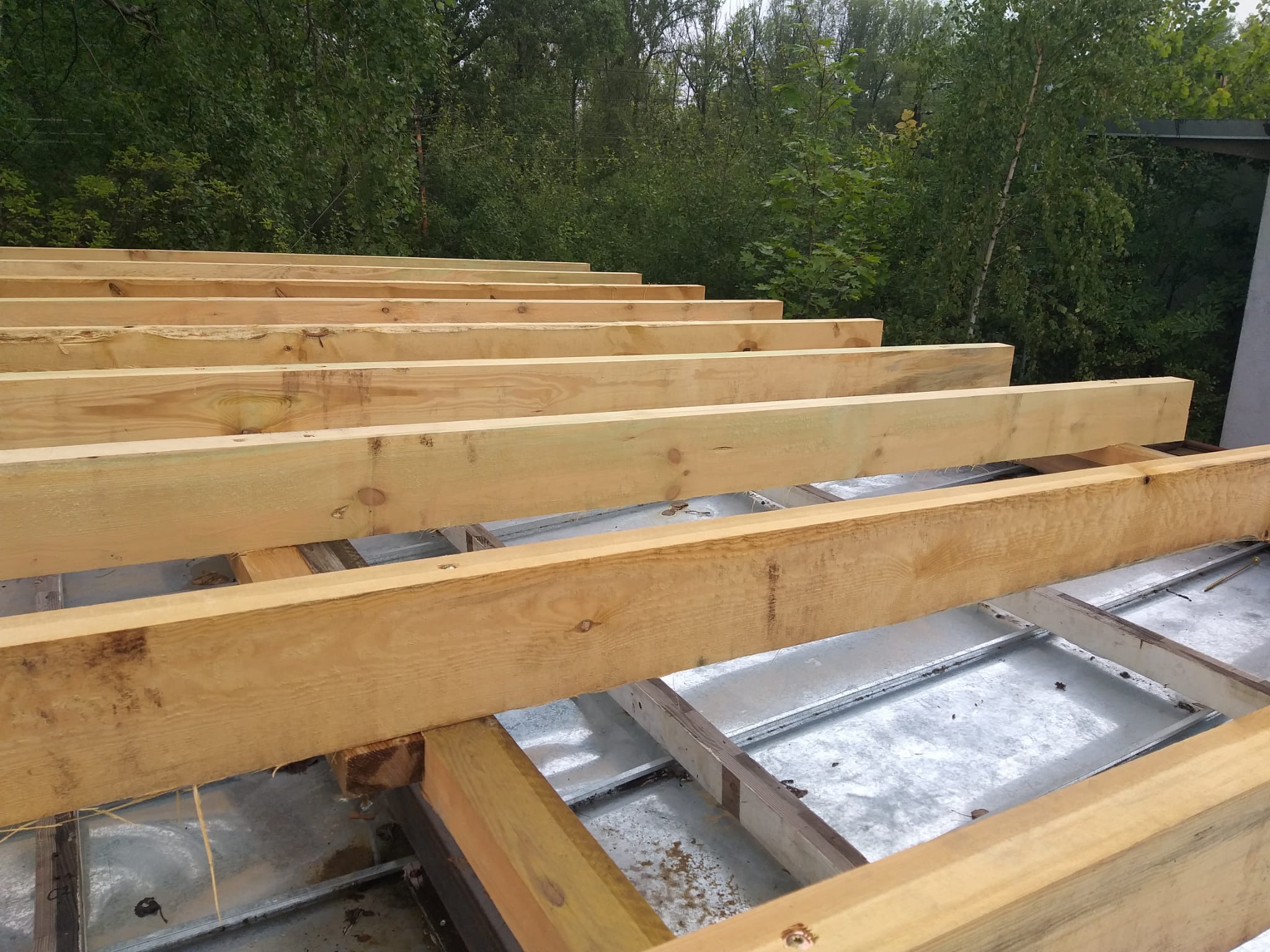 Drewniane belki konstrukcyjne układane na metalowym poszyciu dachu, widok z góry na tle zieleni drzew.