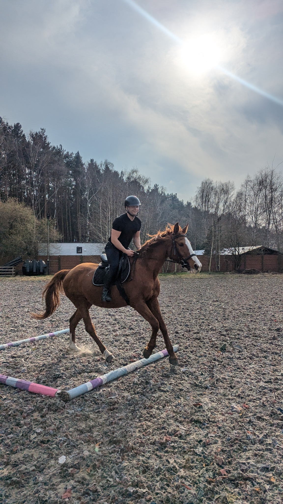 Jeździec w kasku na brązowym koniu skacze przez przeszkodę na piaszczystym terenie. W tle las i budynki, słoneczny dzień.