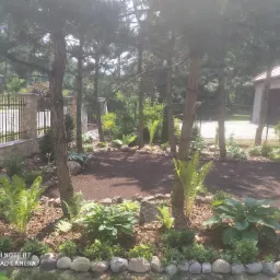 Leśny zakątek do odpoczynku