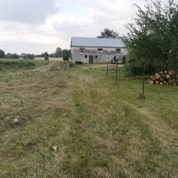 Wiejski krajobraz z dużym starym budynkiem gospodarczym w tle, stertą pociętych drzew obok drzewa i świeżo skoszonym trawnikiem z widocznymi śladami po kosiarce.