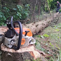 Pielęgnacja ogrodów Limanowa 1