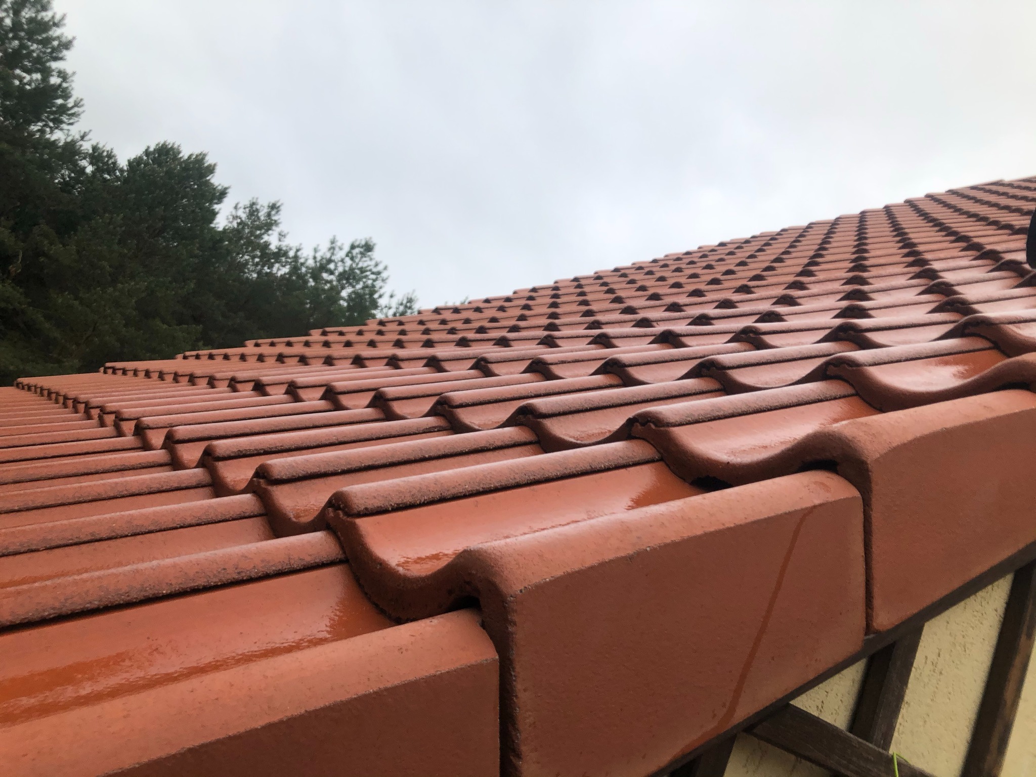 Czerwona dachówka ceramiczna, lekko wilgotna, widziana pod kątem, z fragmentem drzew w tle i pochmurnym niebem.