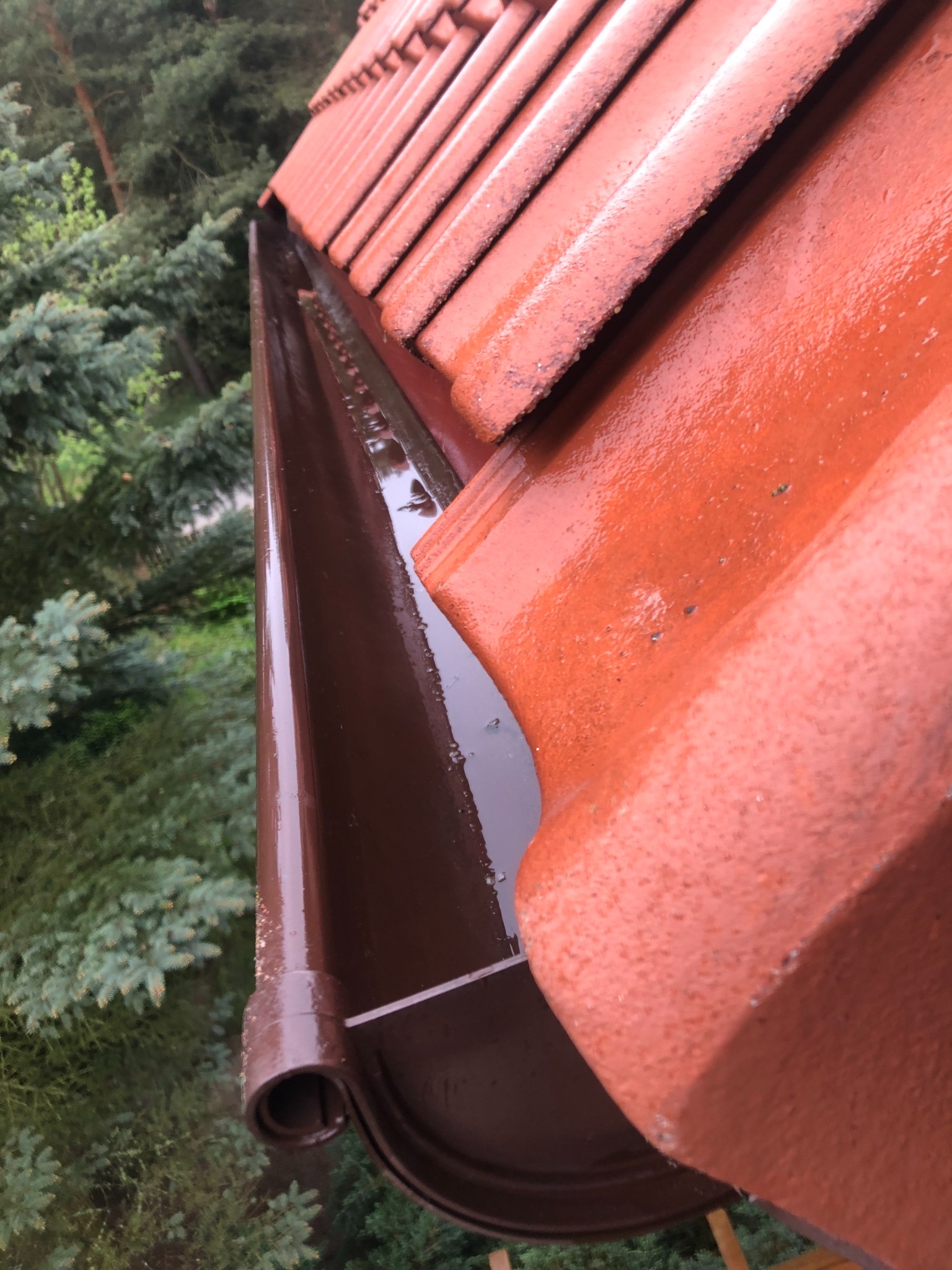 Mokre, brązowe rynny po deszczu, z widoczną wodą i fragmentem pomarańczowego dachu z dachówki ceramicznej na tle zielonych drzew iglastych.