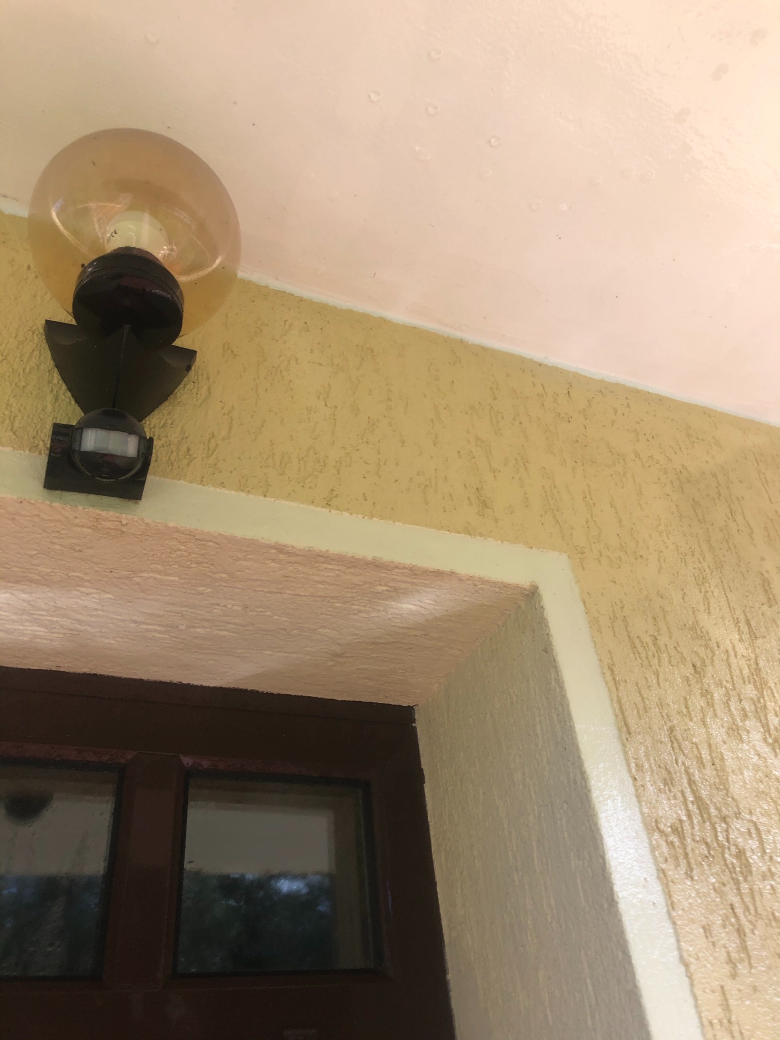 Kąt ujęcia na elewację z fakturą baranka, brązowe okno z widocznym odbiciem drzew i lampę z czujnikiem ruchu.