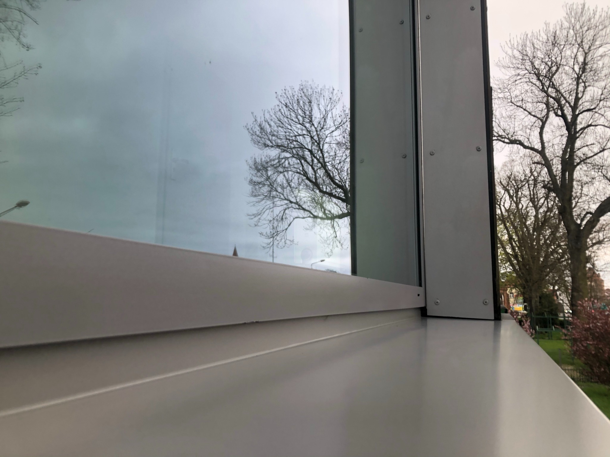Szary profil okienny z widocznym odbiciem drzewa w szybie, zewnętrzny widok na drzewa i fragment zieleni.