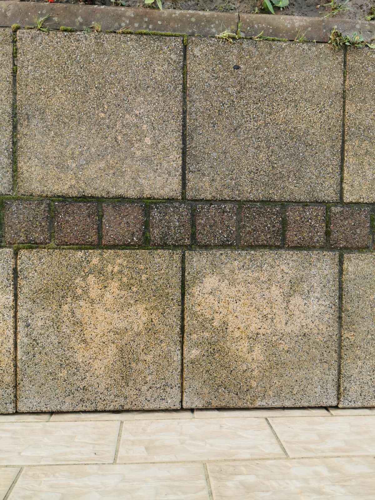 Brudna, betonowa elewacja z mchem w Barlinku, widok z bliska na kwadratowe płyty z dekoracyjnym pasem cegieł, wymagająca interwencji firmy sprzątającej.