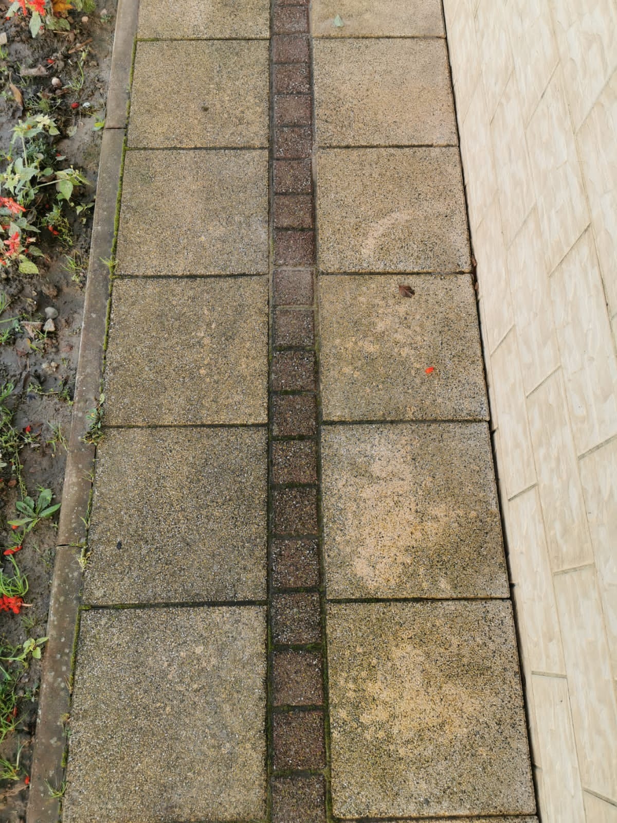 Chodnik z betonowych płyt z brązowym paskiem pośrodku, przylegający do ściany budynku, widoczne zabrudzenia i mech w spoinach.