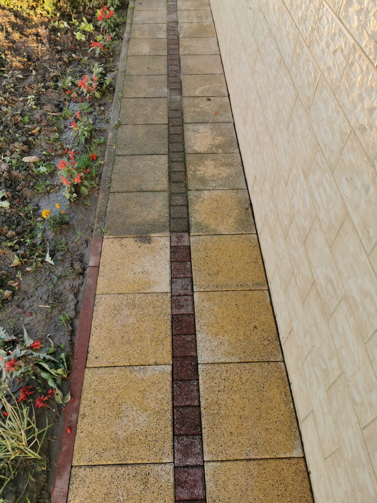 Chodnik z żółtej kostki brukowej z bordurowym pasem z ciemnoczerwonej kostki, przylegający do ściany budynku z jasnych, strukturalnych płytek elewacyjnych, obok rabata z ziemią i resztkami...