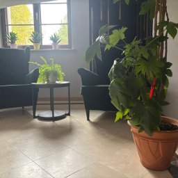 My Way - Ośrodek leczenia uzależnień - Wnętrze gabinetu z zielonymi fotelami, stolikiem i roślinami doniczkowymi przy oknie. Stonowana kolorystyka, naturalne światło. Przytulna przestrzeń do rozmów.
