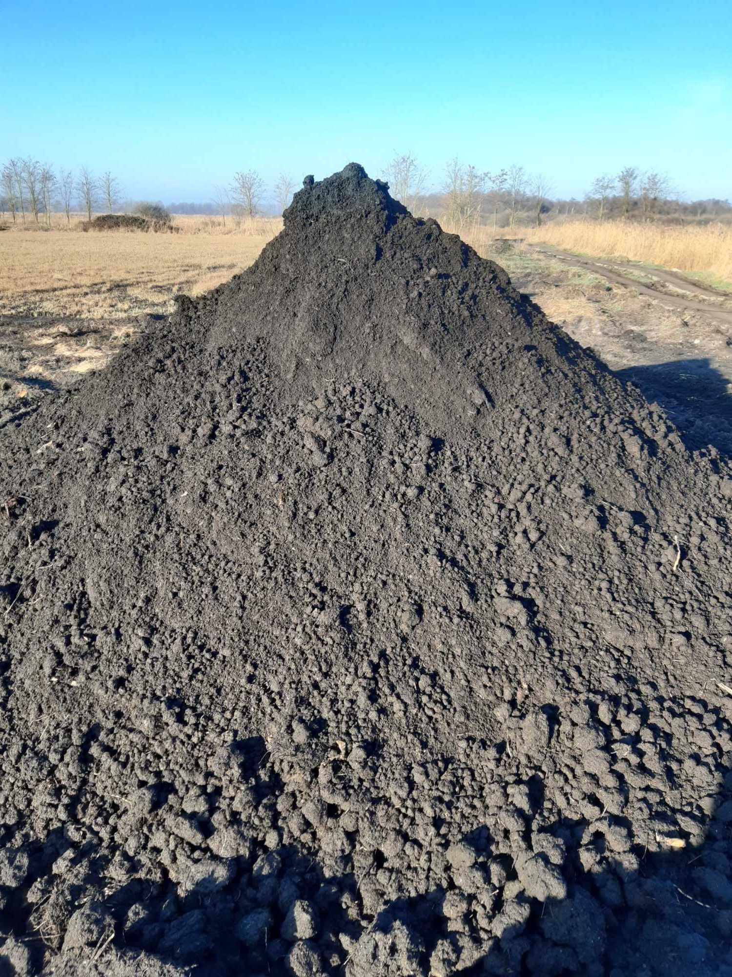 Kupa ciemnej ziemi na polu w słoneczny dzień. W tle widoczne drzewa i trawa. Ziemia ma grudkowatą strukturę i tworzy stożkowaty kształt.
