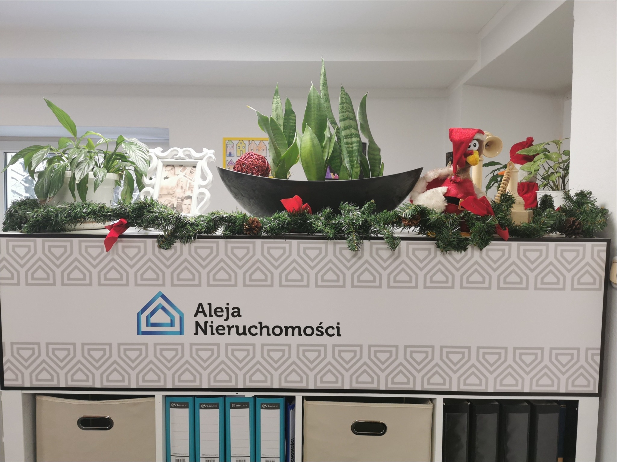 Recepcja biura Aleja Nieruchomości udekorowana roślinami doniczkowymi, świąteczną girlandą i figurką kurczaka w stroju Mikołaja.