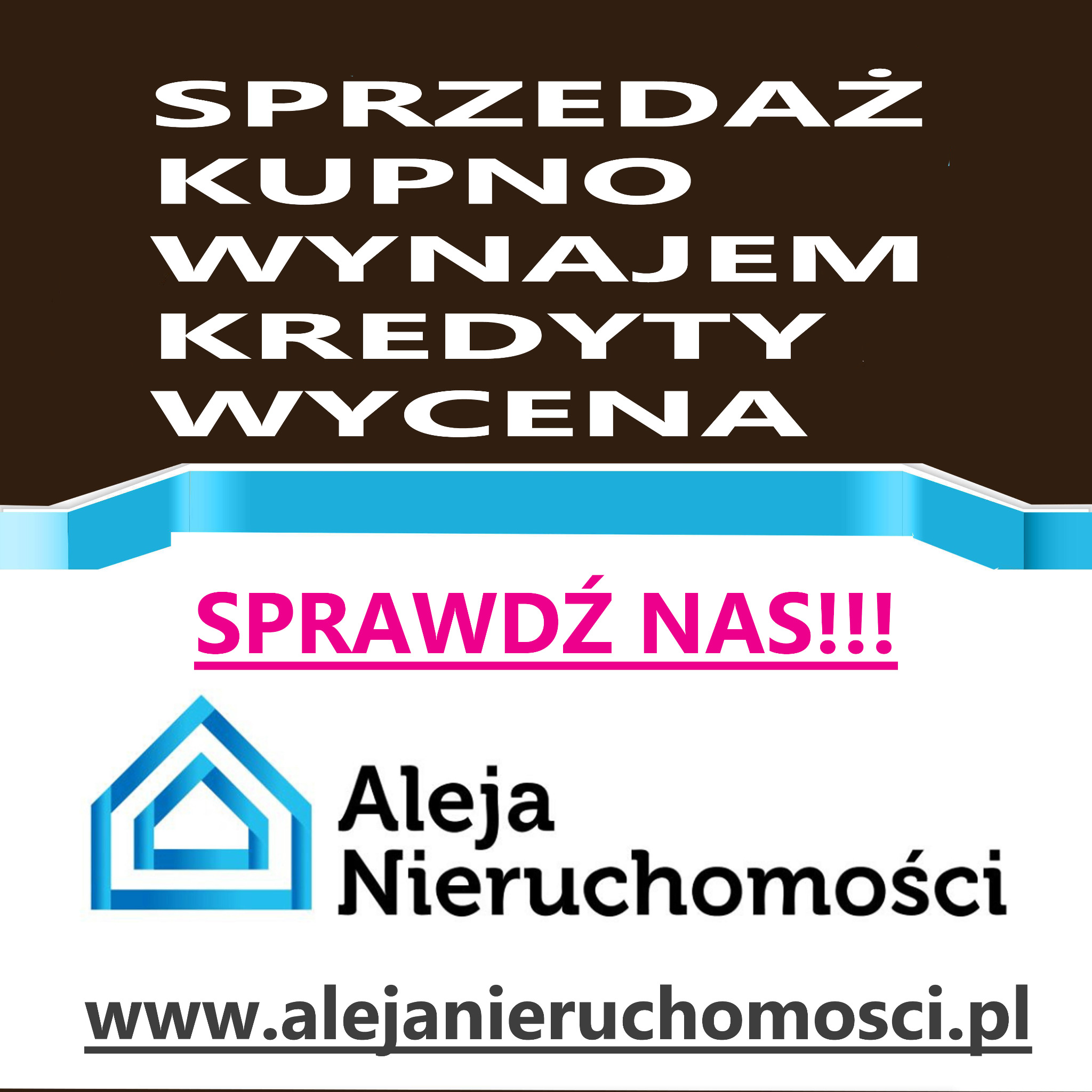 Grafika reklamowa firmy Aleja Nieruchomości z listą usług: sprzedaż, kupno, wynajem, kredyty, wycena oraz hasłem 'Sprawdź nas!!!' i adresem strony internetowej.