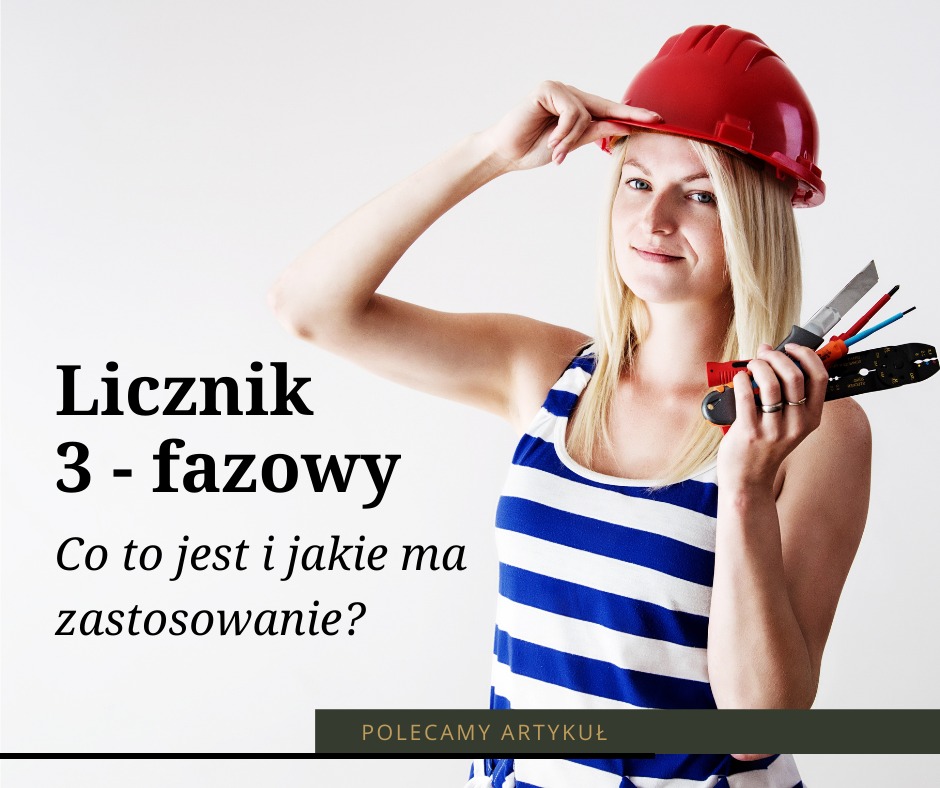 Przykładowa realizacja z branży elektrycznej.