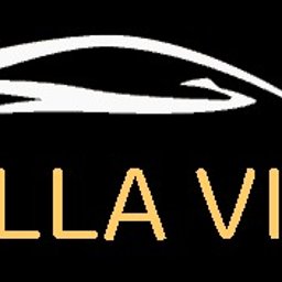 Projekt loga dla firmy bella vita