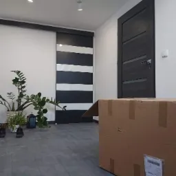 Nowoczesny przedpokój z przesuwnymi drzwiami w czarno-białe pasy i ciemnymi drzwiami wejściowymi, na podłodze szare płytki, obok doniczka z zieloną rośliną i kilka par butów, w pierwszym planie...