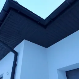 Fragment elewacji domu z widocznym orynnowaniem i podbitką w kolorze grafitowym, sfotografowany z dołu pod kątem.