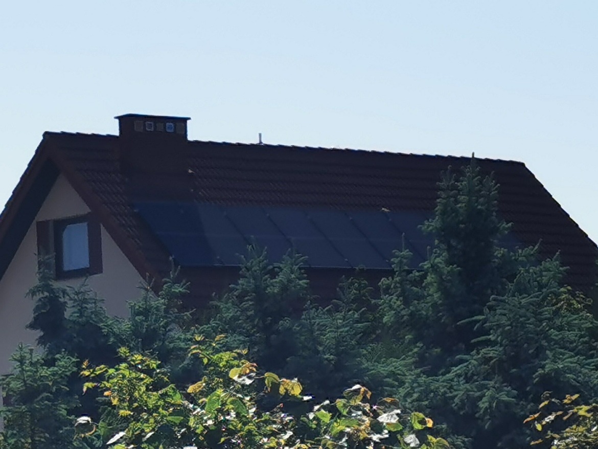 Płock - Patriotów ( ZielonyJar)