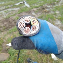 it4ti.pl - Przekrój kabla elektrycznego WLZ z żyłami miedzianymi w dłoni w roboczej rękawicy na tle trawy.