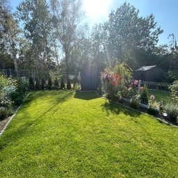 Usługi Ogrodniczo- Brukarskie Gardenin - Widok na równy, zielony trawnik z metalowym ogrodzeniem, ozdobnymi roślinami wzdłuż obrzeży i małym domkiem narzędziowym w tle, oświetlony letnim słońcem.