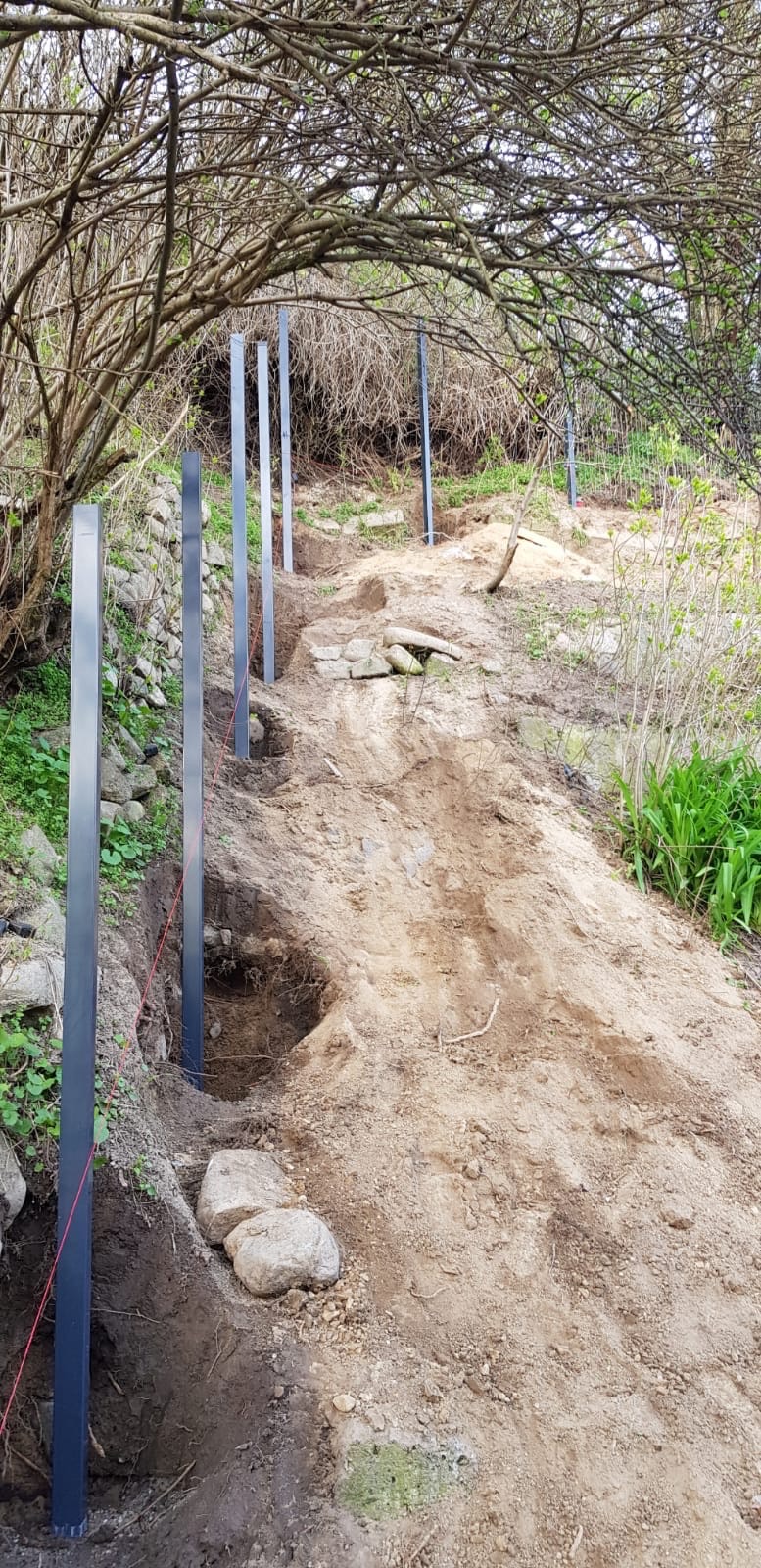 Przygotowanie terenu pod schody w ogrodzie: wkopane metalowe słupki wzdłuż ścieżki na nierównym terenie, częściowo podtrzymywane kamieniami, z widoczną czerwoną linką wyznaczającą linię. W tle...