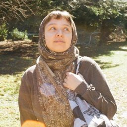 Wycinka drzew Łódź 1