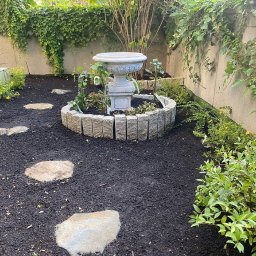 Trawa z rolki Warszawa 2