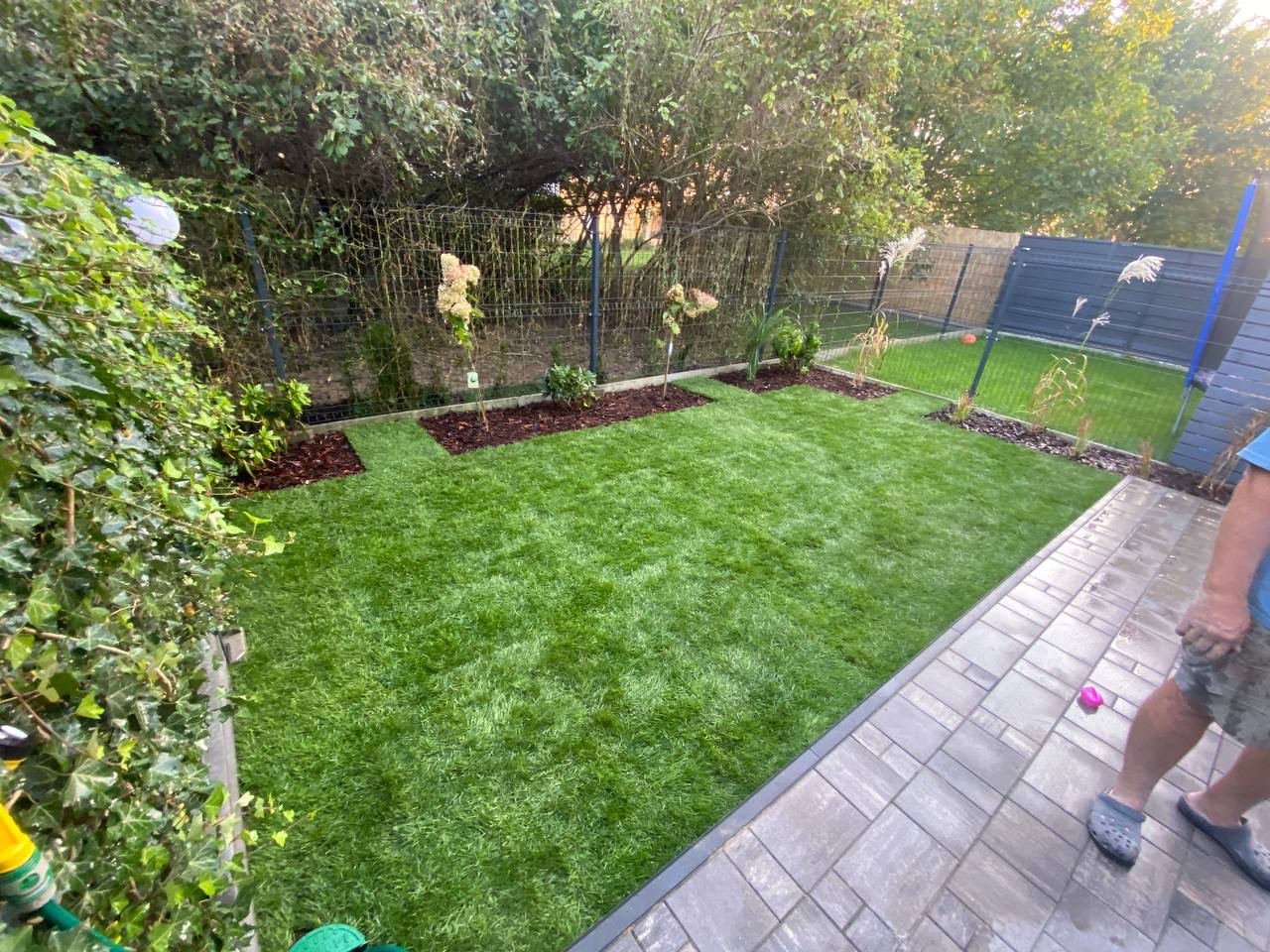 Świeżo założony trawnik z rolki, widok z góry. Brzegi trawnika wykończone kostką, w tle małe drzewka i krzewy. Częściowo widoczny mężczyzna w tle.