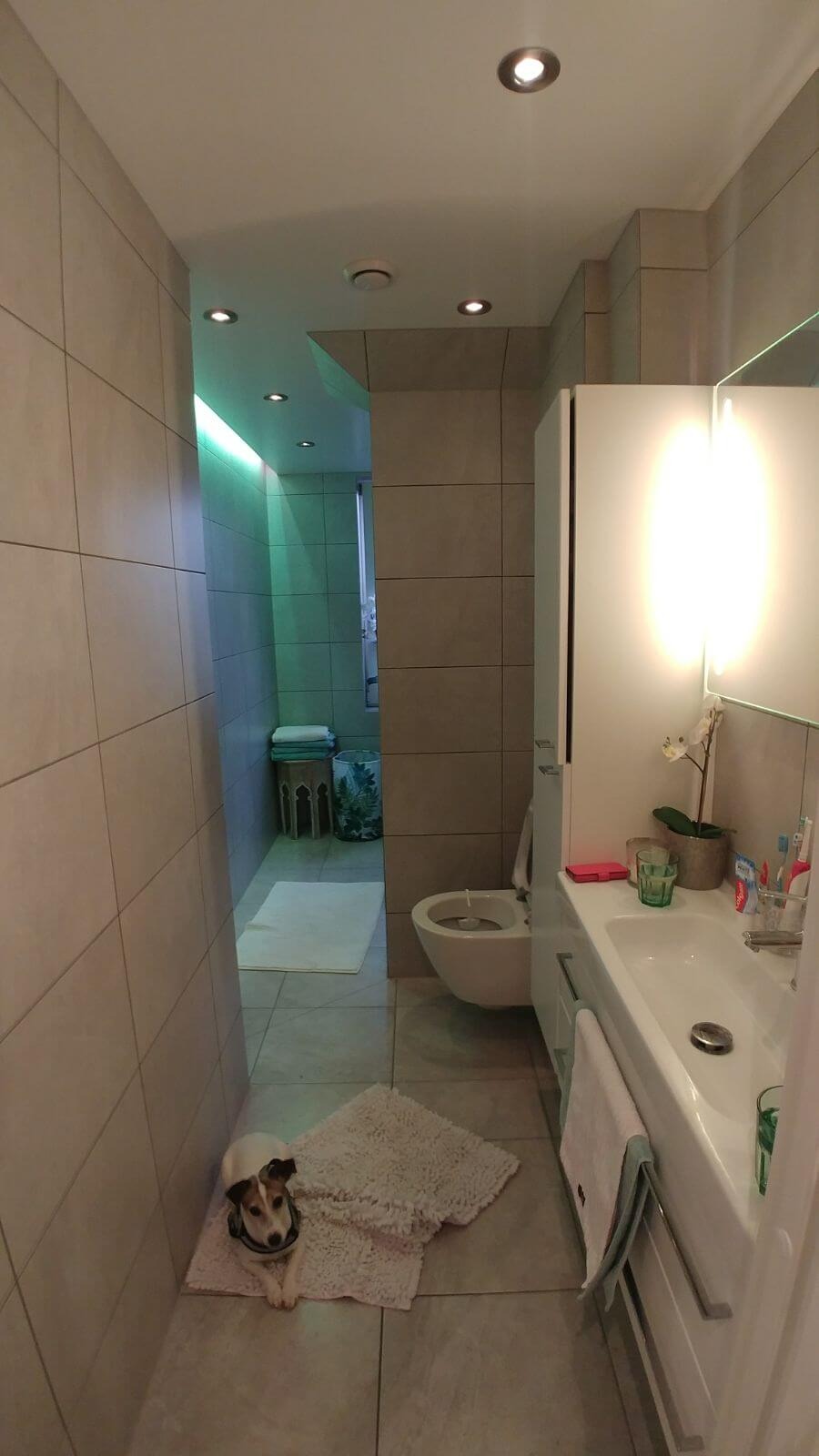 Wąska łazienka z beżowymi płytkami, oświetleniem punktowym i małym psem rasy Jack Russell Terrier leżącym na puszystym dywaniku przed toaletą i umywalką.