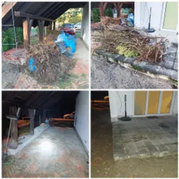 Stosy suchych gałęzi i liści przygotowane do transportu, częściowo spakowane w niebieskie worki na tle zadaszenia i ceglanego podłoża, widoczny również fragment budynku z szarą kostką brukową.