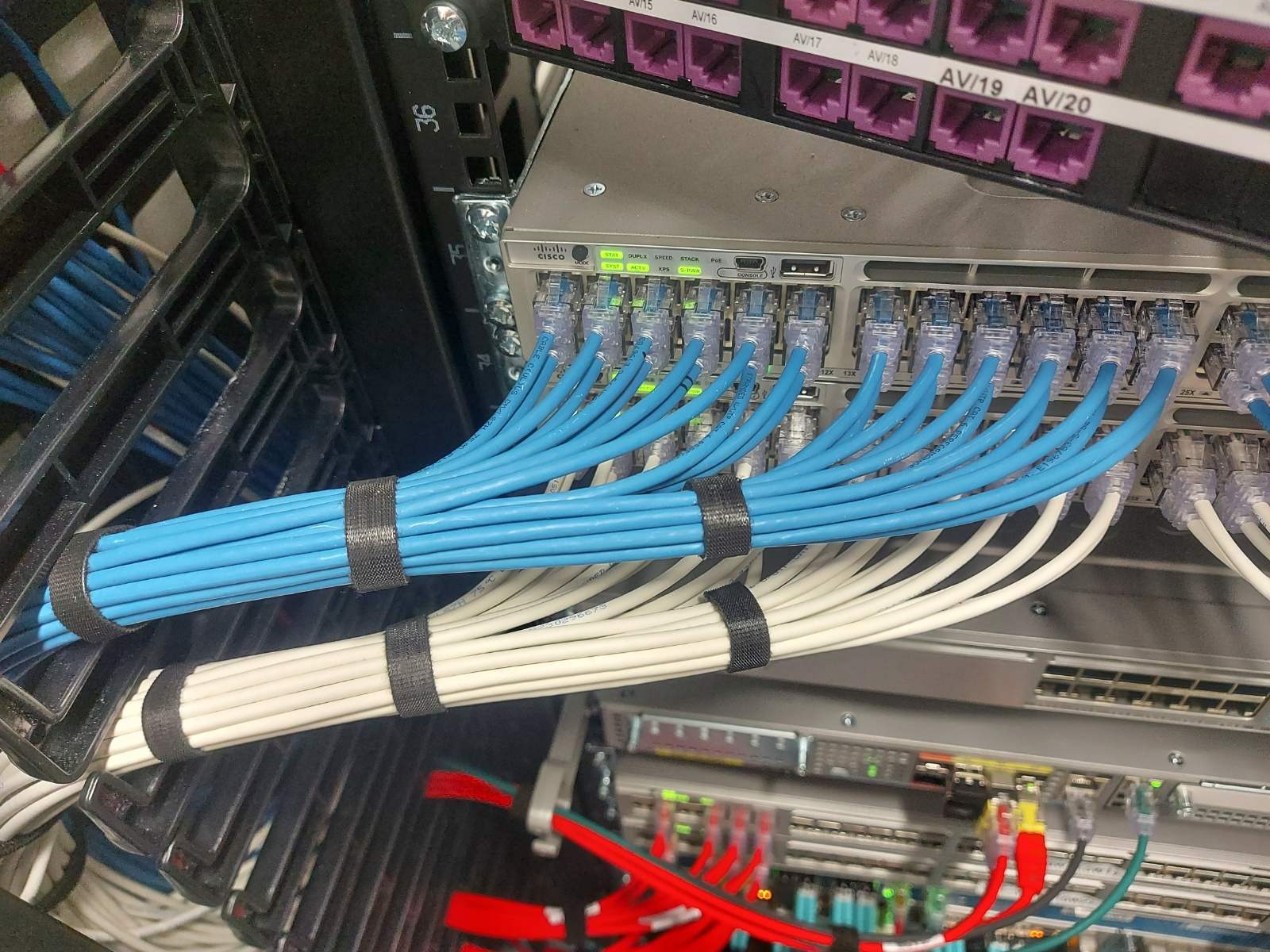 Szafa rack z uporządkowanymi kablami sieciowymi: niebieskie i białe przewody spięte rzepami, podłączone do przełączników Cisco z diodami LED.