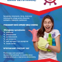 Reklama firmy PG Biznes oferującej usługi porządkowe: uśmiechnięta kobieta w różowej rękawicy trzymająca środki czystości i ściereczkę, na tle tekstu informującego o ofercie firmy.