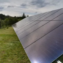 Długi rząd paneli fotowoltaicznych ustawionych na trawniku, widoczne ogrodzenie i drzewa w tle pod pochmurnym niebem.