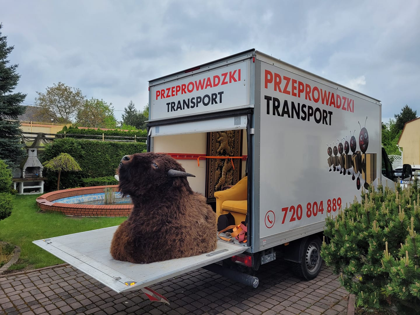 Figurka bizona na platformie załadunkowej samochodu dostawczego z otwartymi drzwiami, w tle widoczny fotel i dywan, na boku pojazdu napis 'PRZEPROWADZKI TRANSPORT' i numer telefonu, w tle ogród...
