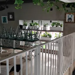 Industrialna aranżacja wnętrza restauracji z krzesłami ułożonymi na stołach, roślinami w białych donicach na tle szarej ściany i białej balustrady.