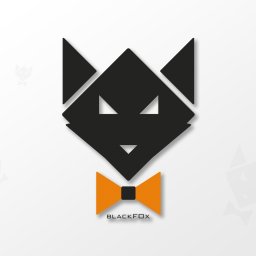 Strony internetowe Wrocław 2