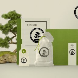 Rebound Studio - Mockup identyfikacji wizualnej marki z motywem drzewka bonsai, obejmujący logo na torbie, etykiecie, okładce folderu i naklejce, z małym bonsai na kamieniu w tle.