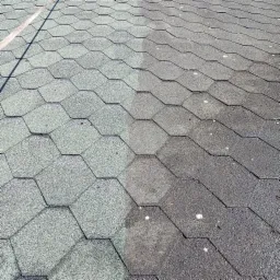 Fragment dachu z gontu bitumicznego, widoczna różnica w czystości między umytą a zabrudzoną częścią, z pozostałościami ptasich odchodów.