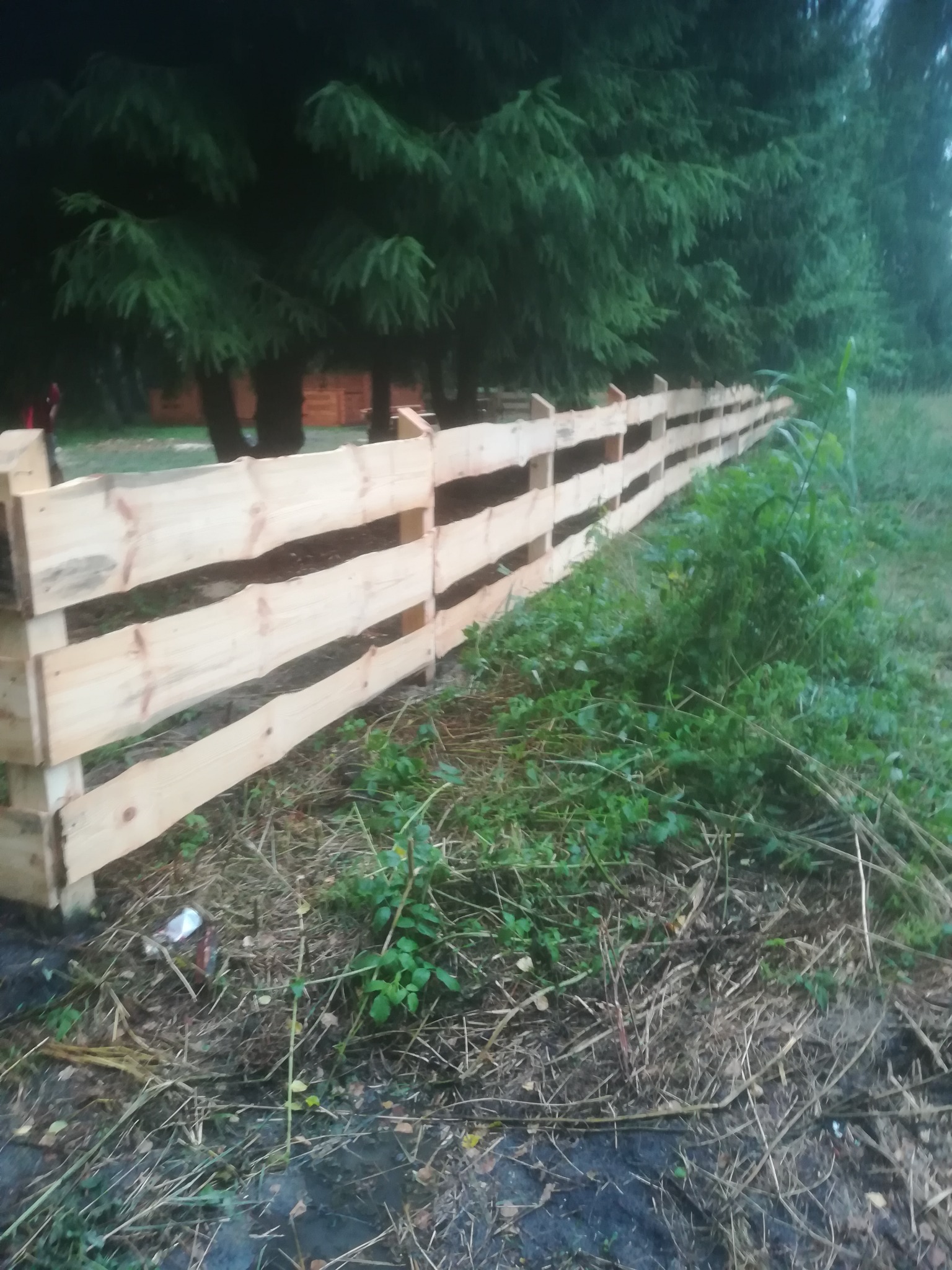 Nowo postawione, surowe, drewniane ogrodzenie z desek o nieregularnych krawędziach, widoczne na tle zieleni i drzew, z widocznymi śladami budowy w postaci śmieci