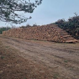 DreewStall Mateusz Stalończyk - Stos ściętych bali drzewnych ułożonych wzdłuż polnej drogi z widocznymi śladami opon, w tle las i gałęzie drzewa