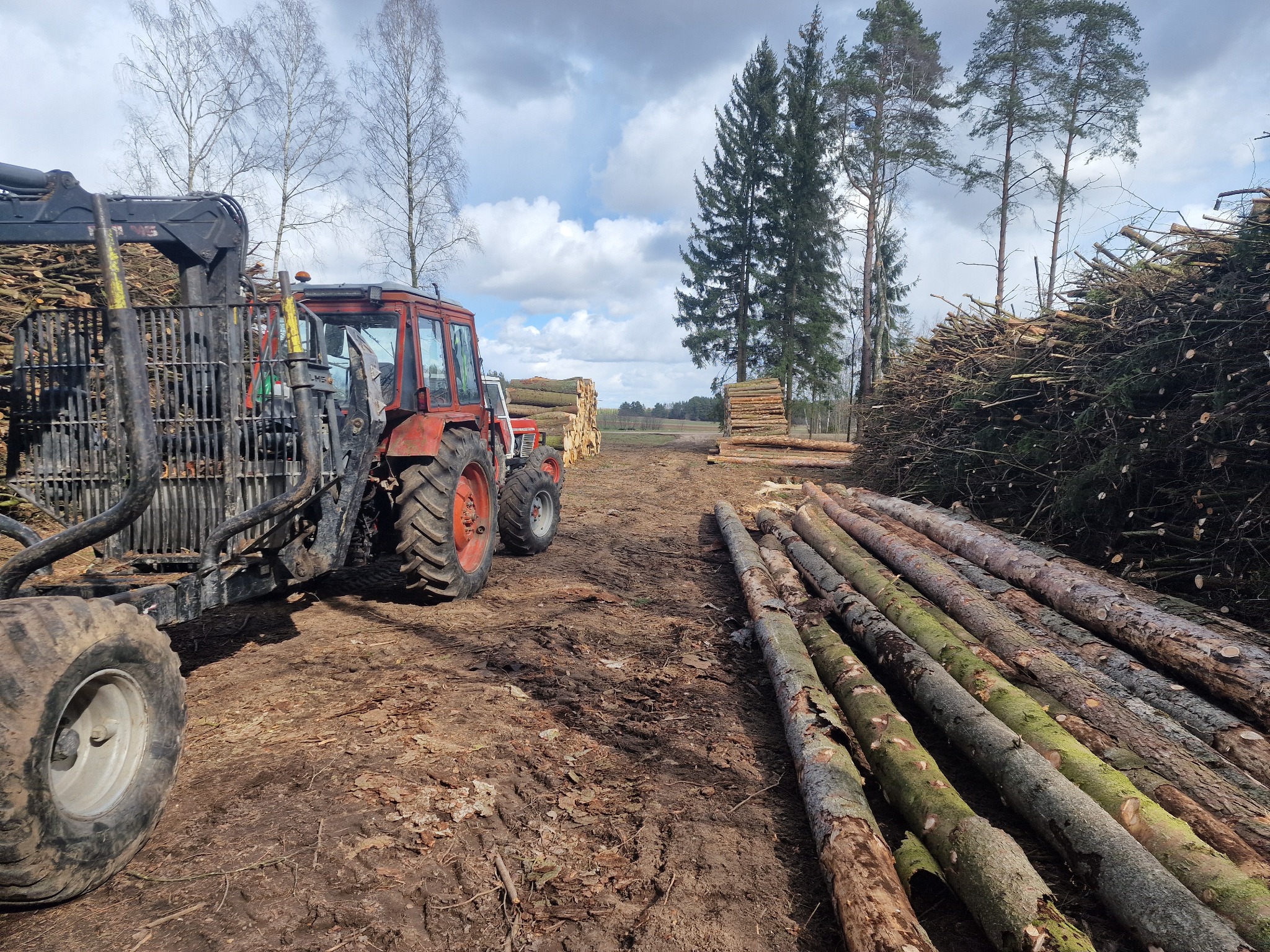 Czerwony traktor z przyczepą do transportu drewna na błotnistym terenie, w tle stosy pociętych pni i gałęzi oraz wysokie drzewa.