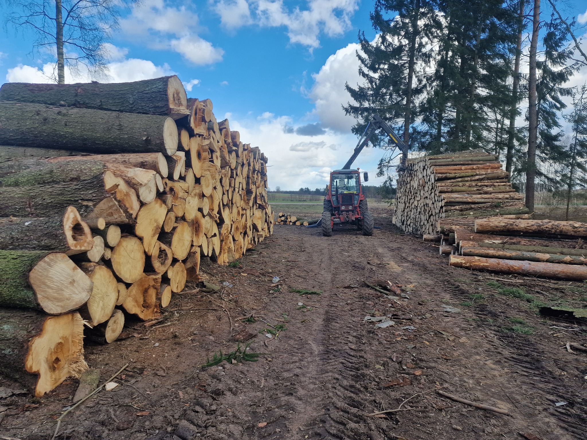 Stosy pni drzewnych ułożone równolegle po obu stronach polnej drogi, w tle czerwony traktor z ramieniem do podnoszenia drewna i błękitne niebo z chmurami.