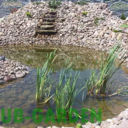 Oczko wodne z kaskadą i roślinnością, otoczone kamieniami. Dekoracyjny element ogrodu z wodą, kamieniami i zielenią. Widoczne odbicie w wodzie.