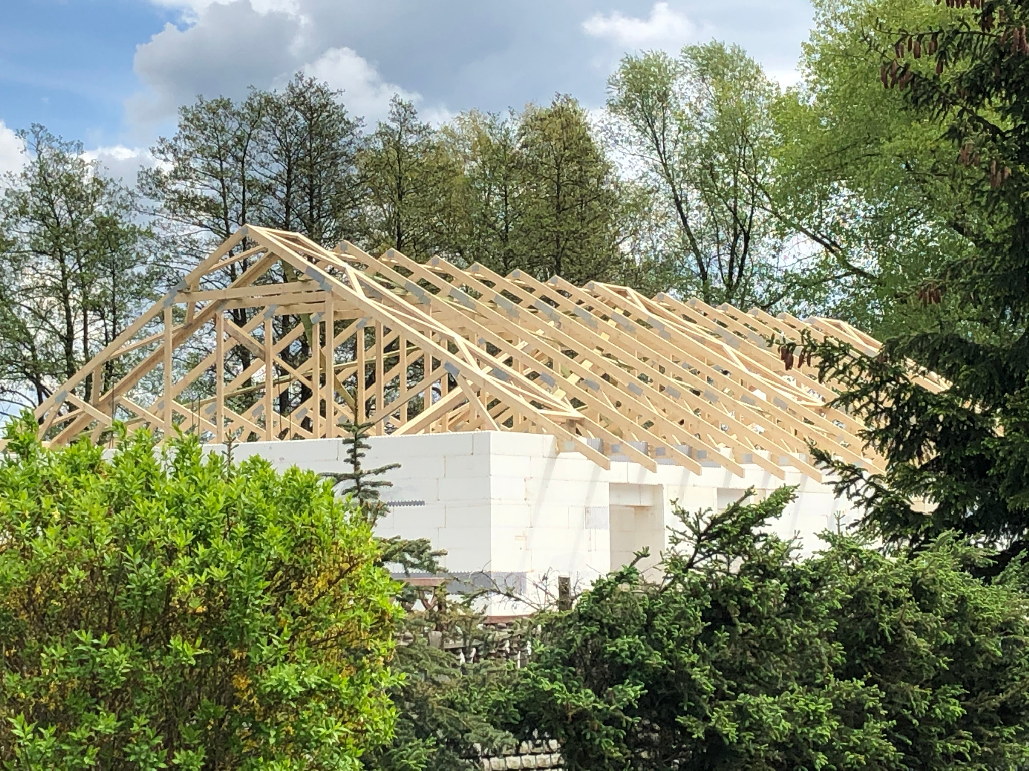 Wznoszona konstrukcja domu z białych bloczków i drewnianą więźbą dachową, widoczna zza zielonych krzewów i drzew w słoneczny dzień.