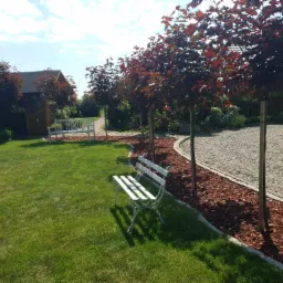 Uporządkowany ogród z równo przystrzyżonym trawnikiem, białymi ławkami i rzędem drzew o purpurowych liściach, wyściółkowanych korą. W tle widoczny domek ogrodowy. Na pierwszym planie cień rzucany...